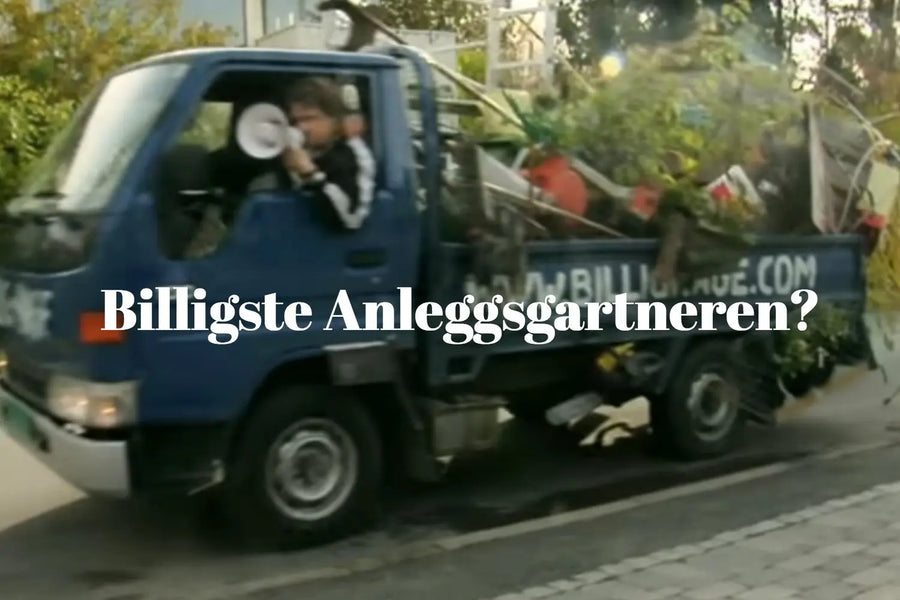 Billig anleggsgartner!
