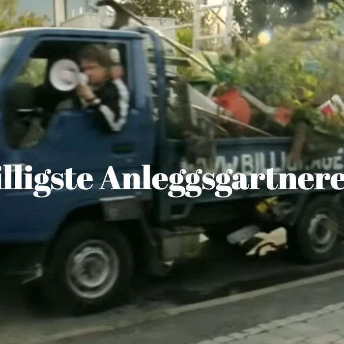 Billig anleggsgartner!