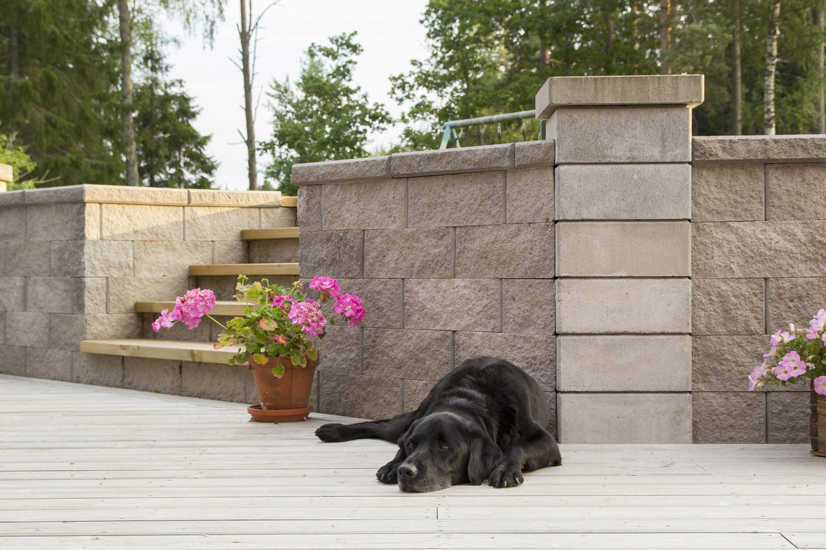 Benders Megasmart Grå mur med stolpelement, trapp og hund