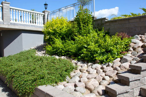 Elvestein 100-250mm Rødmix Storsekk 800kg - Benders